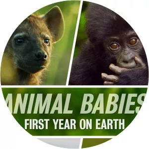 Animal Babies: First Year on EarthSince 2019