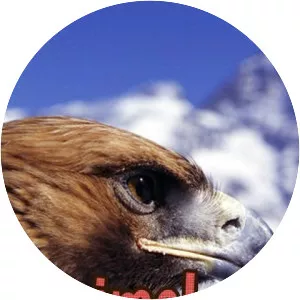 Animal Crime Scene - Animated series