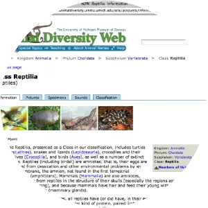 Animal Diversity Web - Website