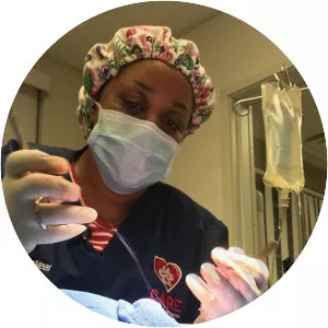 Animal ER Live - TV program