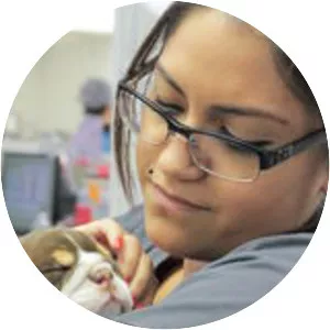 Animal ER - TV program