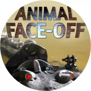 Animal Face-Off photograph