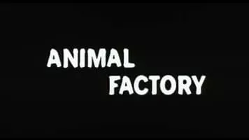 Animal Factory - 2000 ‧ Drama/Prison ‧ 1h 38m