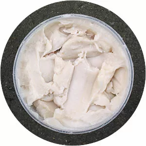 Animal fat photograph