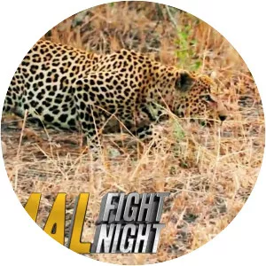 Animal Fight Night