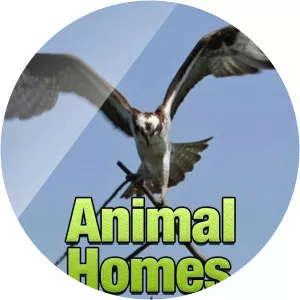 Animal House HuntersSince 2016