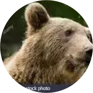 Animal Park of the Pyrenees