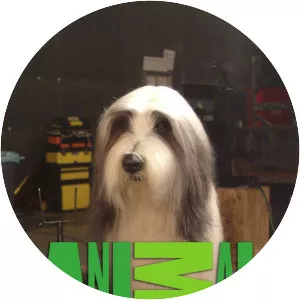 Animal Planet at the Movies - TV program