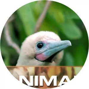 Animal Rescue: Amazing StoriesSince 2021