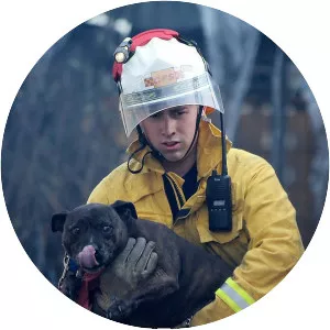 Animal Rescue Classics - TV program