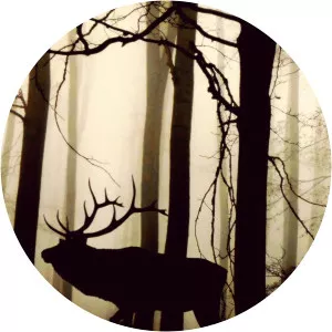 Animal SocietySince 2017 - TV program