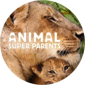 Animal Super Parents2015