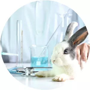 Animal testing photograph