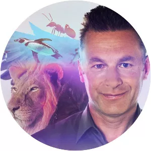 Animales maravillosos