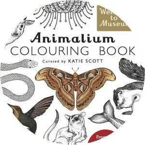 Animalium Colouring Book Katie Scott - Book by Katie Scott
