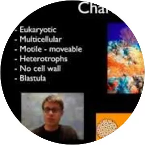 Anımallı Veterinary Gökgöl