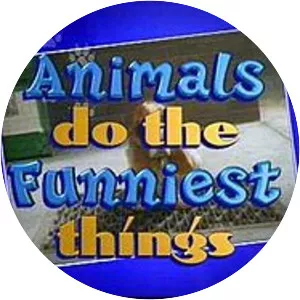 Animals Do the Funniest Things