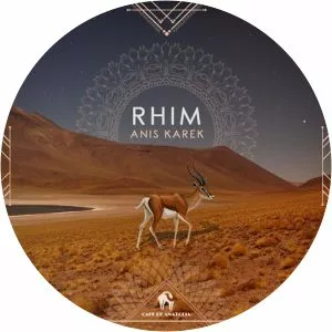 Anis Karek - Musical artist