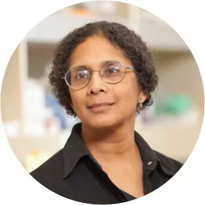 Anjana Rao - Researcher