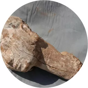 Ankhesenpepi I photograph