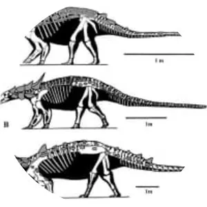Ankylosauria