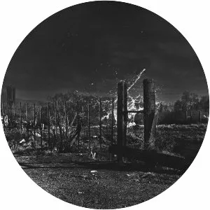 Ann Deveria - Musical artist