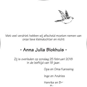 Anna Julia Blokhuis