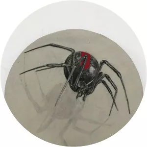 Anna Louise Richardson