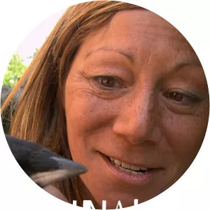 Anna's WildlifeSince 2011