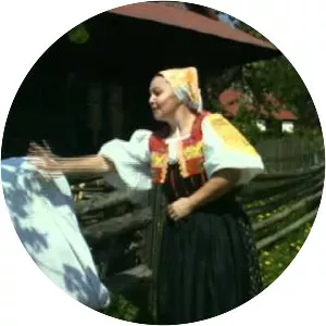 Anna Šatanová - Musical artist