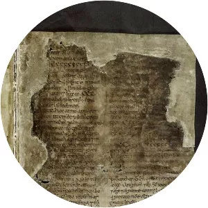 Annals of Inisfallen - Book