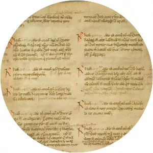 Annals of Ulster - Book