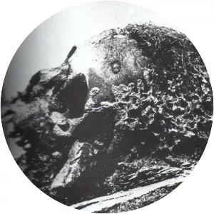 Anne de Mowbray, 8th Countess of Norfolk