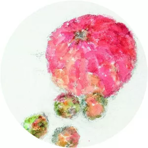 Anne-Marie Jaccottet