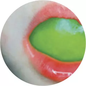 Anne Noble - New Zealand photographer