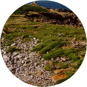 Annet, Isles of Scilly - Island in England