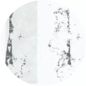 Annette Krebs - Musical artist