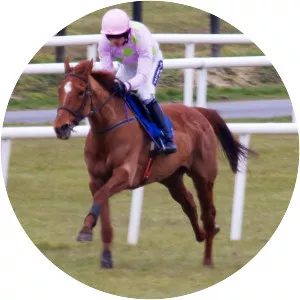 Annie Power