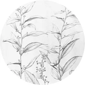 Anomospermum - Plants