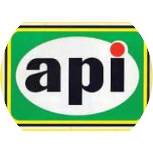 Anonima Petroli Italiana