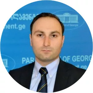 Anri Okhanashvili - Member of the Parliament of Georgia