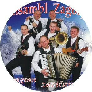ANSAMBL ZAGORJE - Musical artist