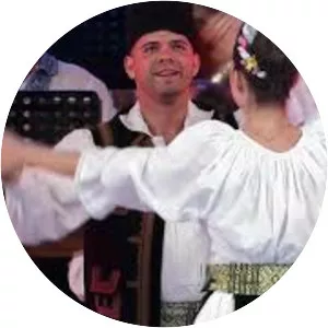 Ansamblul Timisul - Musical artist