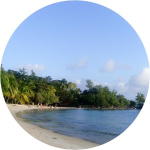 Anse Figuier - Beach in Martinique