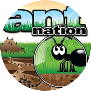 Ant Nation