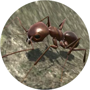 Ant Simulation 3D - Insect Survival Game - 