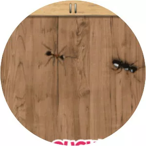 Ant Smasher - Video game