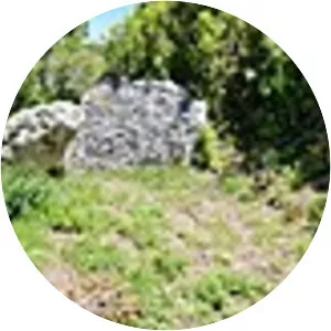 Anta do Alto da Toupeira - 