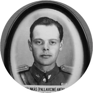 Antal Pálinkás-Pallavicini