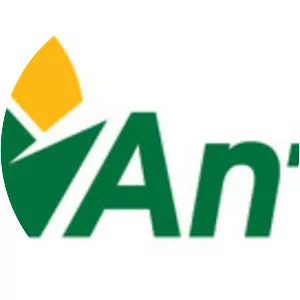 Antero Resources
